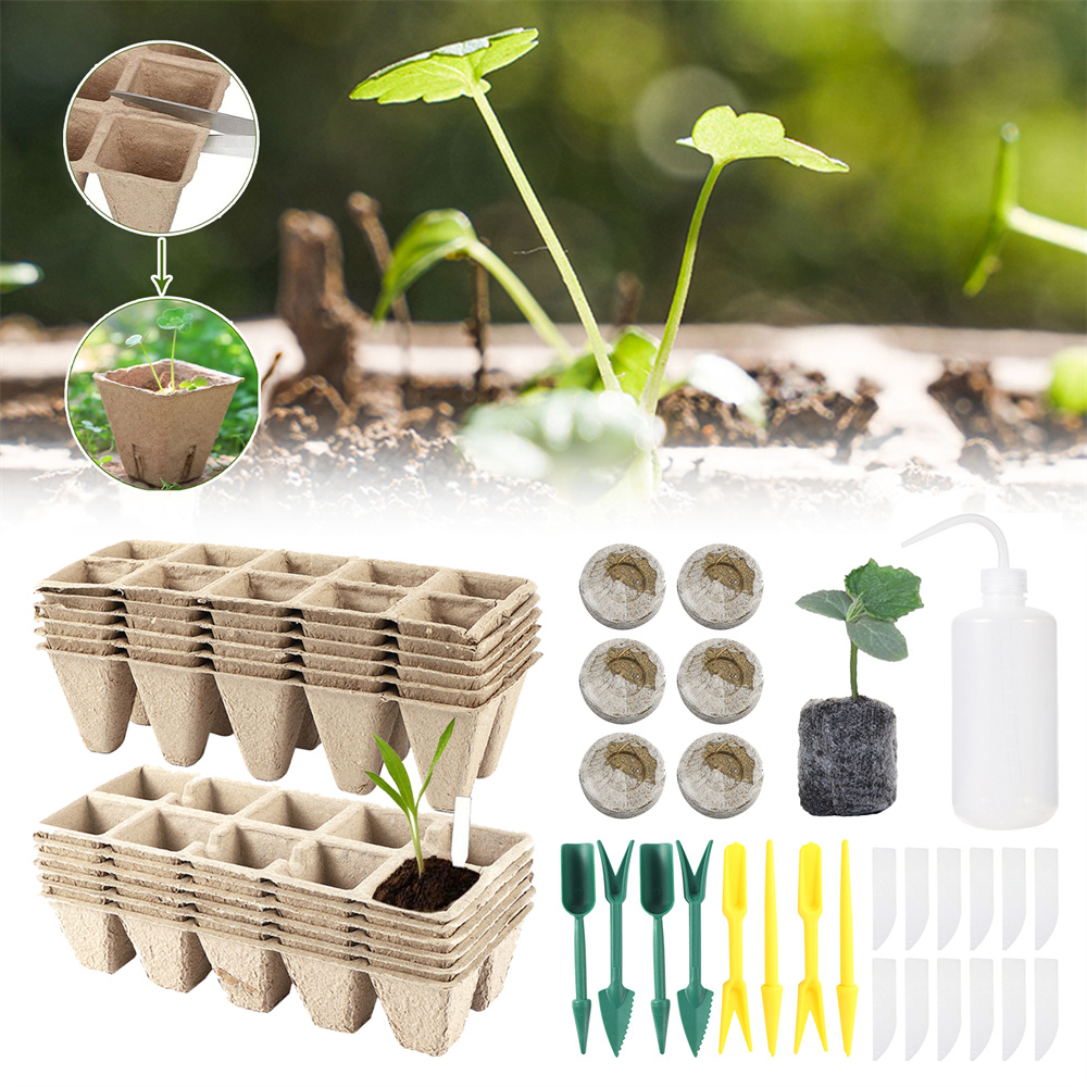 Seed Starter Tray - Органический биоразлагаемый комплект детской коробки, стартовый