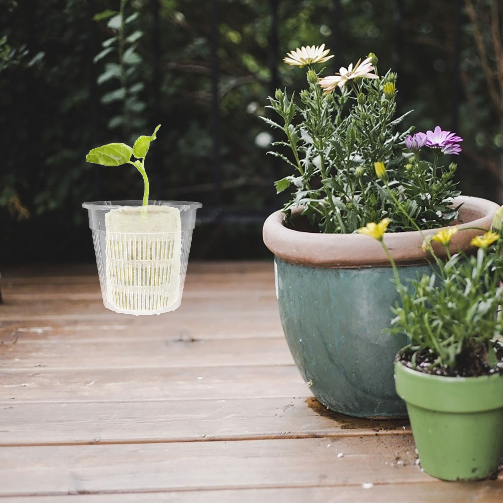 4 шт. гидропонных корзин для р – обзор и цена Plant Pot