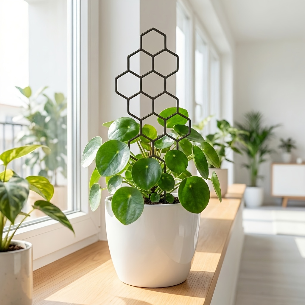1/2 упаковки: Сетка-опора для  – обзор и цена Indoor Herb Garden