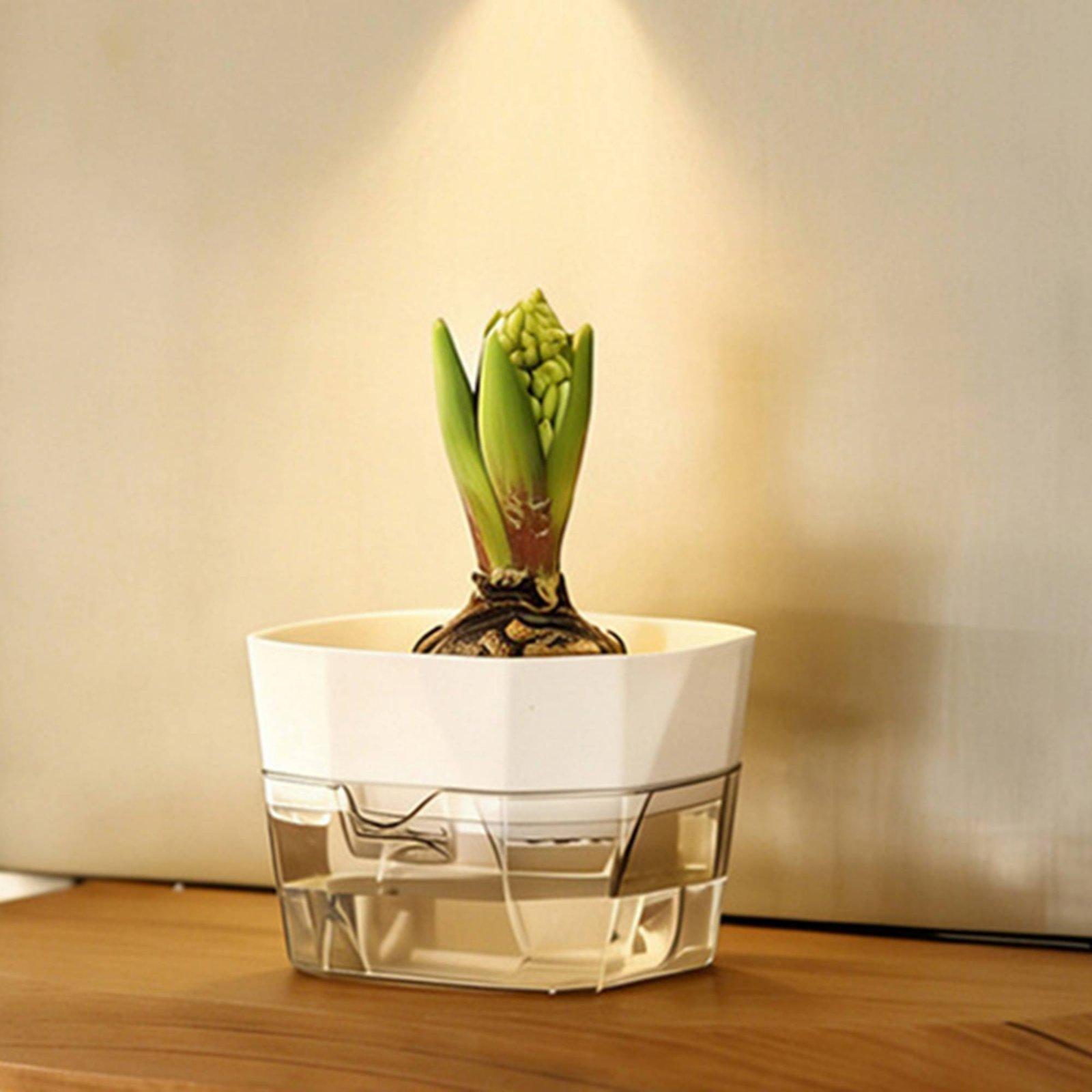 Гидропонная ваза с двумя слоям – обзор и цена Plant Pot