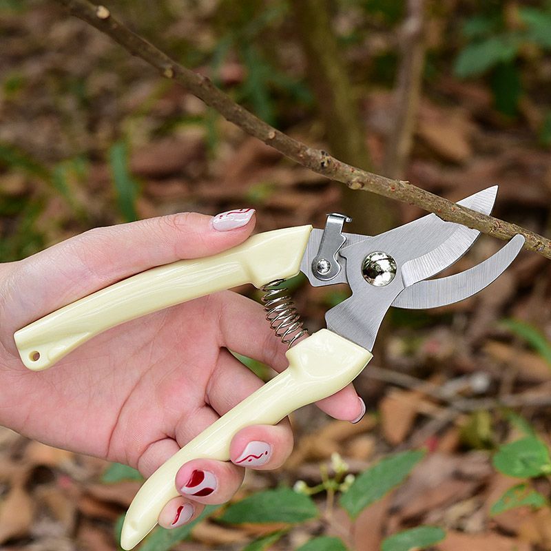Эргономичные садовые секаторы, – обзор и цена Pruning Shears