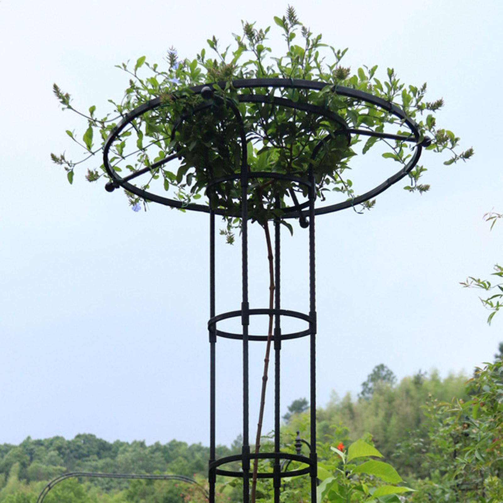 Садовая опорная конструкция-зо – обзор и цена Vertical Planter