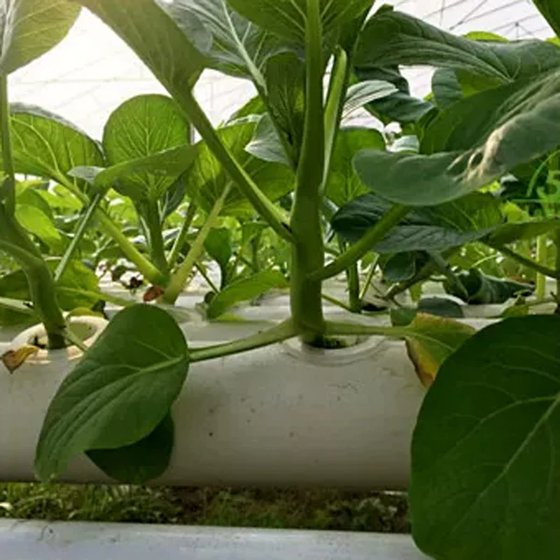 Комплект для беспочвенного выр – обзор и цена Hydroponic Kit