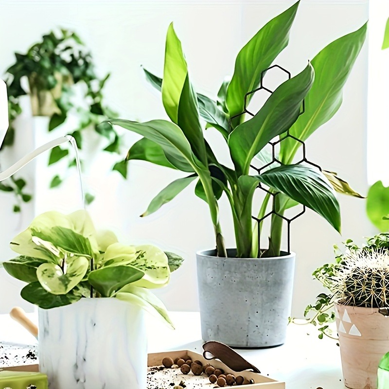 3 шт., рамка для поддержки рас – обзор и цена Indoor Herb Garden