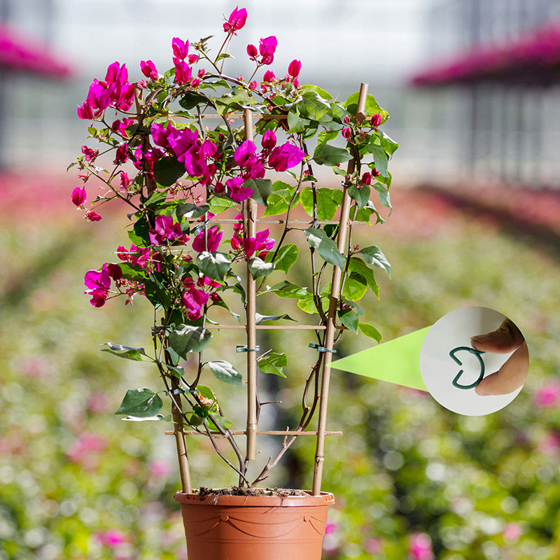 50/100 шт. зажимов для садовых – обзор и цена Vertical Planter